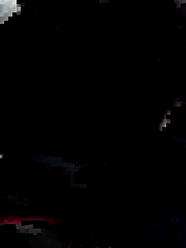 jenny 9 online show from March 12, 2026, 11:14 am