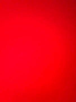 DocCock021 online show from February 18, 2026, 9:44 pm