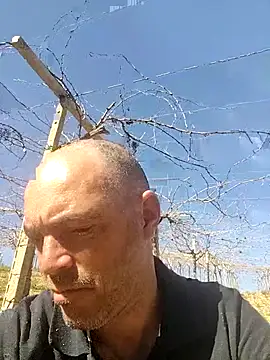 circott online show from February 22, 2026, 12:18 pm