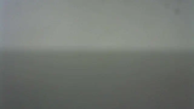 Thommas8a online show from February 22, 2026, 3:53 am