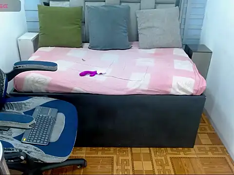 Snapshot of WilThePasive chatting on February 14, 2026, 3:56 pm WilThePasive online show from February 14, 2026, 3:56 pm