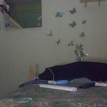 Porcellini2269 online show from April 16, 2026, 9:26 pm