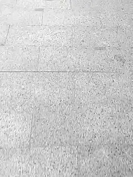 sk8brd snwbrd no snitch online show from May 20, 2026, 7:27 am