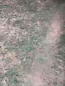 Snapshot of Ankitahd chatting on March 26, 2026, 9:18 am Ankitahd online show from March 26, 2026, 9:18 am