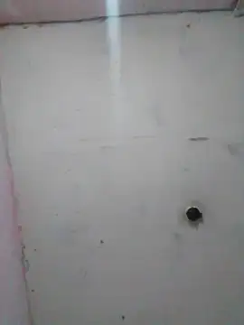 cobrosdepagos online show from February 19, 2026, 1:57 am