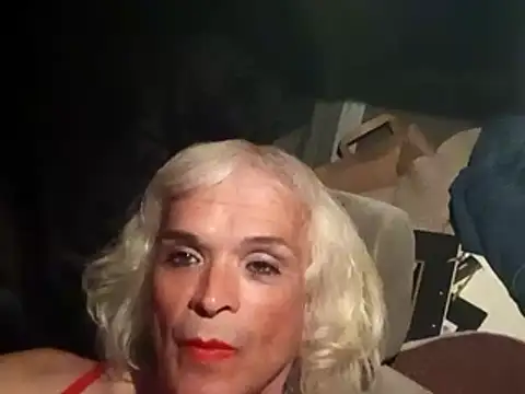 dustbunny64 online show from March 21, 2026, 10:09 am