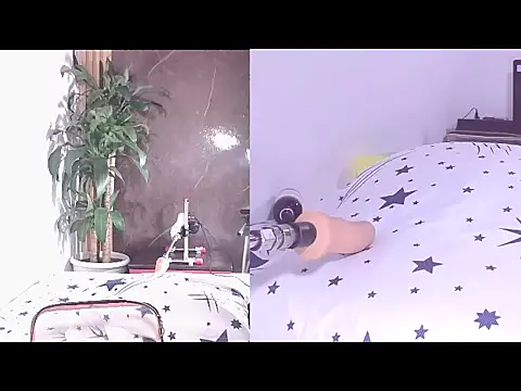 Carol Swet online show from April 21, 2026, 11:39 am