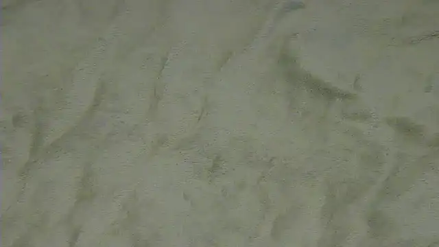 CrazyTo online show from February 21, 2026, 10:06 am