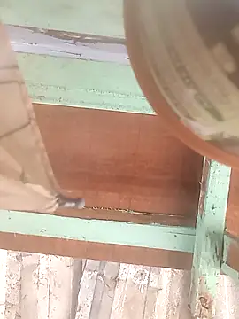 Snapshot of euchapo99 chatting on February 19, 2026, 1:52 pm euchapo99 online show from February 19, 2026, 1:52 pm