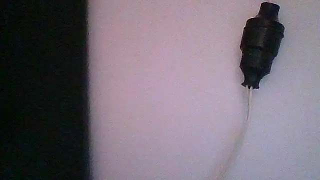 pocahontas hotty online show from March 27, 2026, 7:04 pm