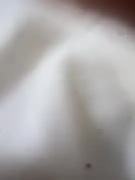 Snapshot of Jaybraconect chatting on February 21, 2026, 5:09 am Jaybraconect online show from February 21, 2026, 5:09 am