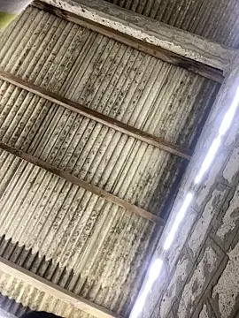 ale sweet53 online show from April 3, 2026, 1:56 am