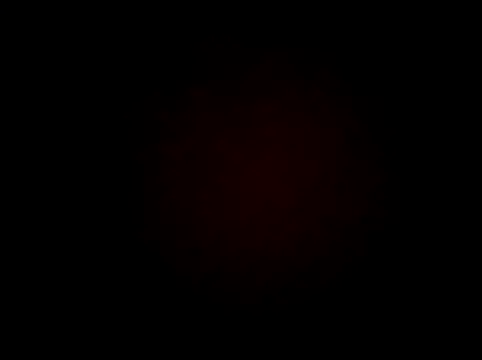 wifedesi7050 online show from March 24, 2026, 7:30 am