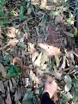 blackbeauty321 online show from March 3, 2026, 9:05 am