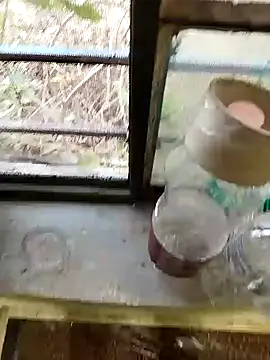 blackbeauty321 online show from February 26, 2026, 11:21 am