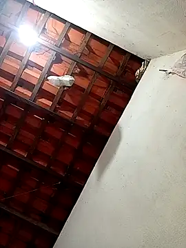 erotil 1 online show from March 28, 2026, 4:13 am