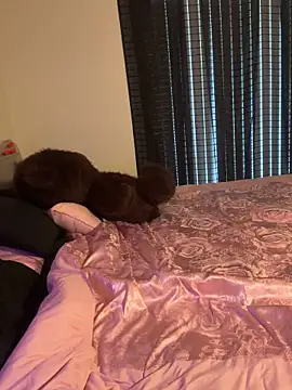 wavywavy12 online show from April 19, 2026, 7:27 pm