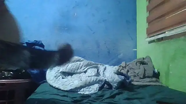 Snapshot of Soylilayblue chatting on March 25, 2026, 6:46 am Soylilayblue online show from March 25, 2026, 6:46 am