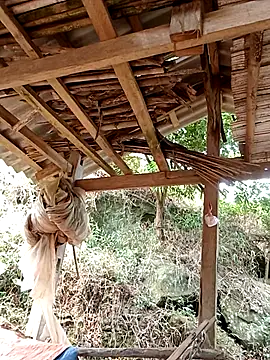 elen8800 online show from April 14, 2026, 4:06 am