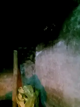 Snapshot of elen8800 chatting on February 28, 2026, 11:37 pm elen8800 online show from February 28, 2026, 11:37 pm