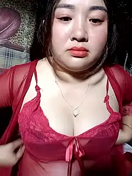 Meo-catwet online show from May 12, 2026, 3:29 pm