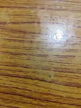 Snapshot of 67sanju chatting on February 25, 2026, 3:23 pm 67sanju online show from February 25, 2026, 3:23 pm