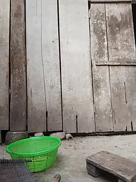 rinrin7700 online show from April 16, 2026, 10:16 am