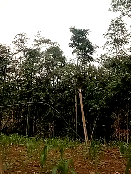 lyly sexx online show from April 16, 2026, 12:44 am