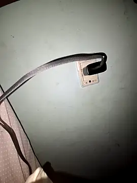 wolf297 online show from February 28, 2026, 11:43 am