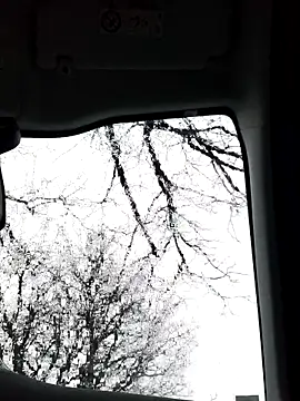 Snapshot of lui8181 chatting on March 11, 2026, 5:40 pm lui8181 online show from March 11, 2026, 5:40 pm