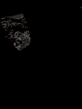 sexydz213 online show from April 3, 2026, 2:12 pm