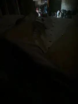 Snapshot of Pijonfran chatting on March 1, 2026, 4:29 pm Pijonfran online show from March 1, 2026, 4:29 pm