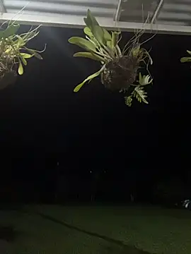 isabella ferrer99 online show from March 8, 2026, 5:44 am