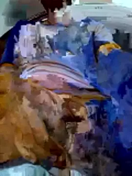 PgL 43 online show from March 3, 2026, 11:17 am