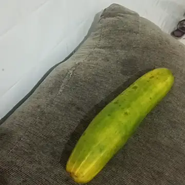 puta casada online show from March 7, 2026, 3:02 am