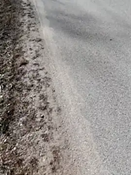 Polishboyek online show from March 10, 2026, 12:53 pm