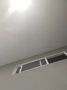 tunegrosabrosito19cm online show from March 6, 2026, 3:12 am