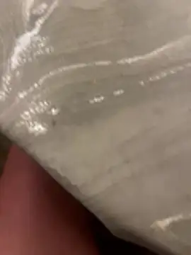 sharks90 online show from April 15, 2026, 2:50 am