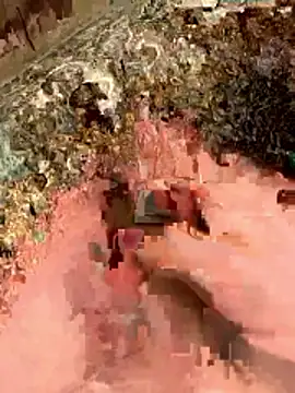 sharks90 online show from April 5, 2026, 3:24 am