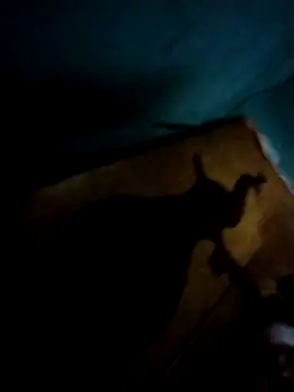 milaa 420 online show from March 10, 2026, 11:58 am