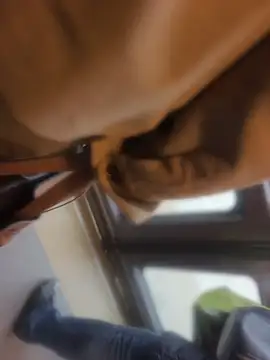 PublicMarekFlashDick online show from May 8, 2026, 6:39 am