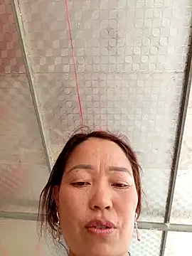 Yellow-pink online show from April 11, 2026, 7:45 am