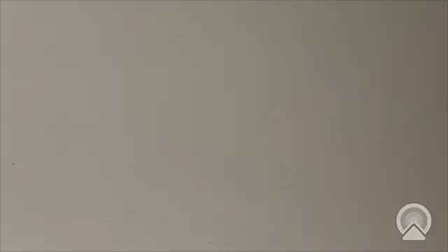 Snapshot of Shynesse21 chatting on March 26, 2026, 11:41 am Shynesse21 online show from March 26, 2026, 11:41 am