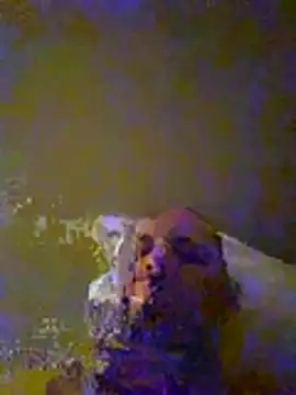 dufatcock online show from July 23, 2026, 9:33 pm