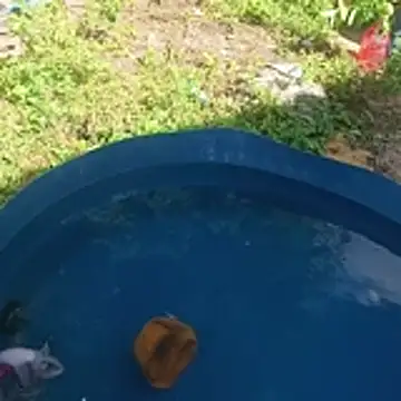 hotwife   br online show from April 16, 2026, 11:33 am