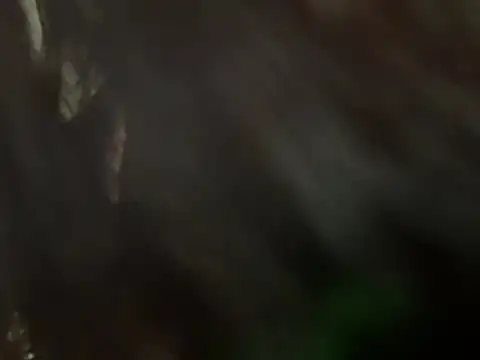 Xiaozuzongo1 online show from July 20, 2026, 1:46 pm