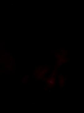 Snapshot of onliveme69 chatting on April 8, 2026, 7:54 am onliveme69 online show from April 8, 2026, 7:54 am