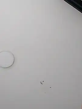 Dereckrose23 online show from March 18, 2026, 5:14 pm