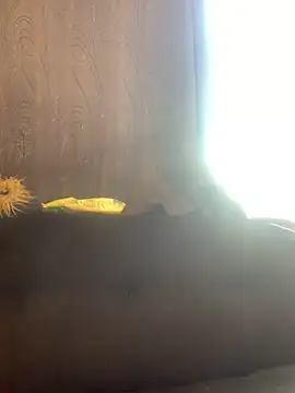 -Jack Zoe- online show from March 20, 2026, 3:13 pm