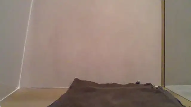 Essie deLona online show from March 24, 2026, 8:25 am